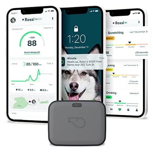 Whistle GO Explore GPS Pet Tracker & Activity Monitor